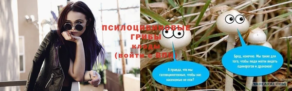 марки lsd Абаза